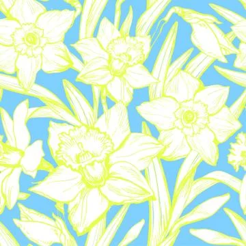 Spring gentle seamless pattern with white flowers daffodils. Stock Illustration