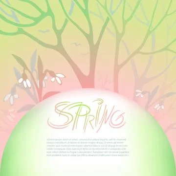 Spring gentle vector illustration. March, flowering snowdrops in a snowy forest Stock Illustration
