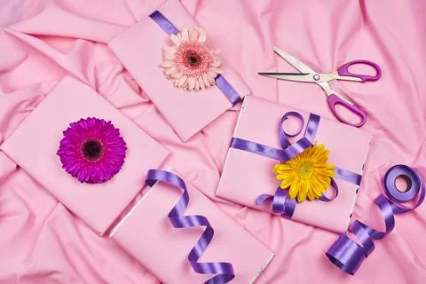 Spring giftbox with daisy flowers Stock Photos