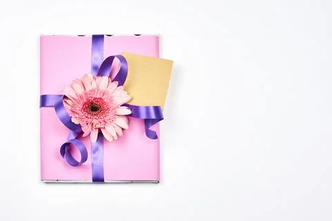 Spring giftbox with daisy flowers Stock Photos