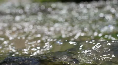 Spring is going Stock Footage 12234345