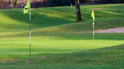 On a spring golf course 4k 25fps video Stock Footage 330050755