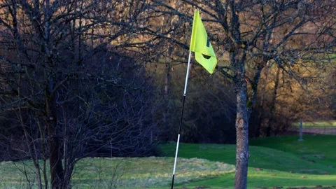 On a spring golf course 4k 25fps video Stock Footage 330050913