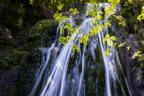 Spring in Gorg De L Olla waterfall in La Garrotxa, Girona, Spain 写真素材