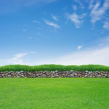 Spring grass and stone wall Foto stock