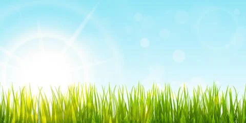 Spring grass and sunlight panorama background Stock Illustration