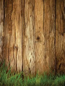 Spring grass background. Grass over wood. Nature background with grass and wo Stock Photos