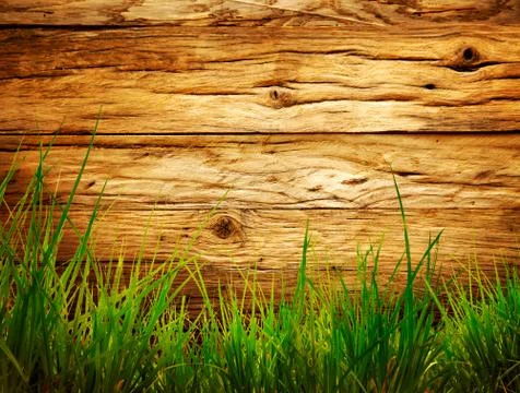 Spring grass background. Grass over wood. Nature background with grass and wo Stock Photos