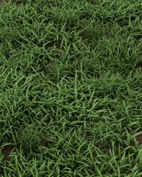 Spring grass background Stock Illustration