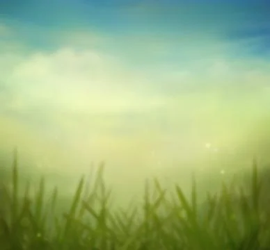 Spring grass. Blur background. Summer nature. Bokeh blurred background. Stock Photos