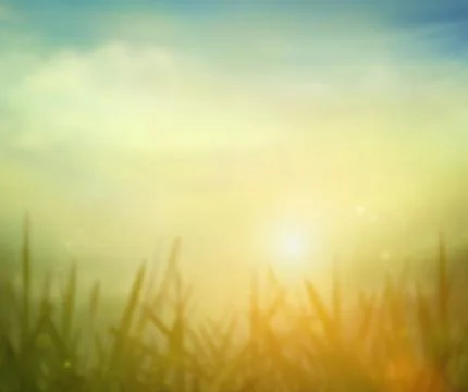 Spring grass. Blur background. Summer nature. Bokeh blurred background. Stock Photos