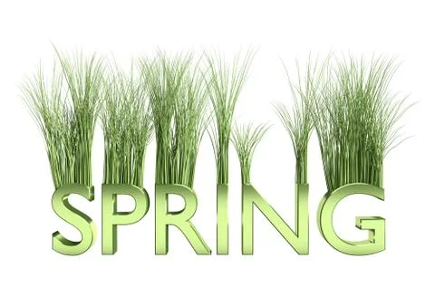 Spring Grass 스톡 일러스트
