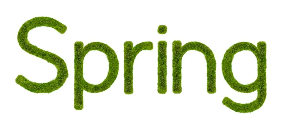 Spring Grass Stock Illustration