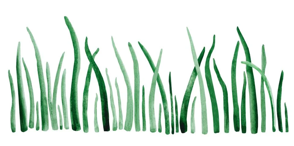 Spring grass isolate. Green algae Watercolor illustration. Stock Illustration