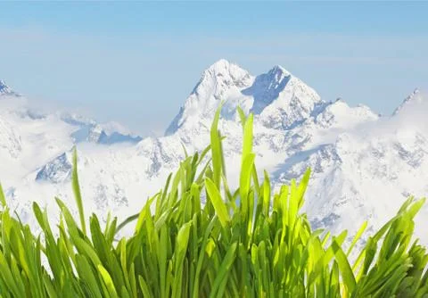 Spring grass in mountains Stock-Fotos