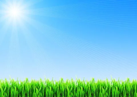 Spring grass Stock Photos