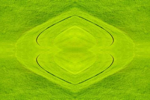 Spring grass under the rays of the sun Stock Illustration