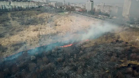 Spring grassland and forest fire, large flames and smoke from forest fire at Stock Footage 172704119