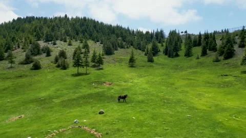 Spring Green from Above Stock Footage 274533406