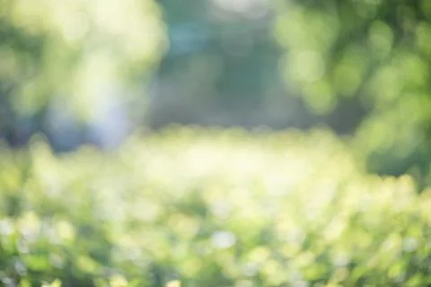 Spring green blurred background. Stock Photos