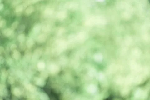 Spring green blurred background. Stock Photos