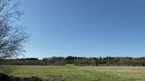 Spring green field with blue sky, illegal garbage dump. old bags, rags, wooden  Stock Footage 130793034