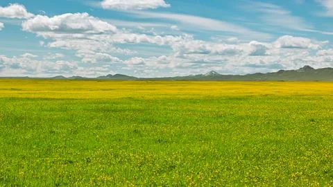 Spring Green Field with Distant Mountains, Copy Space Stock Photos
