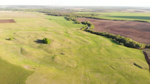 Spring green field Stock Footage 147093484