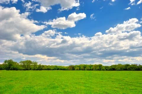 Spring green field Фото