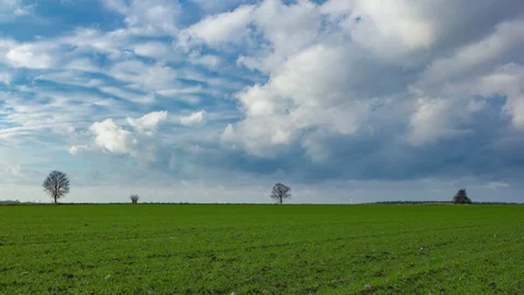 Spring green field under sky with moving clouds, 4k time lapse Stock Footage 87194420