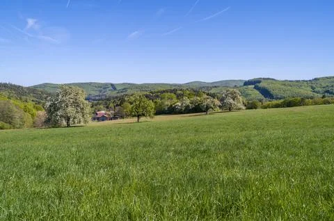 Spring Green Fields and Hills Фото
