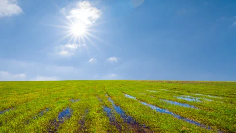 Spring green flooder fields at the bright day Vidéo 334838408