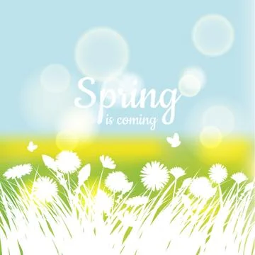 Spring with green grass and chamomile on green background. Spring template Stock Illustration