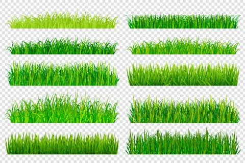 Spring green grass borders isolated on transparent background Stock Illustration