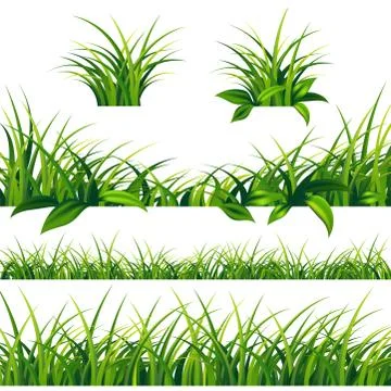 Spring green grass Borders Set Stock Illustration