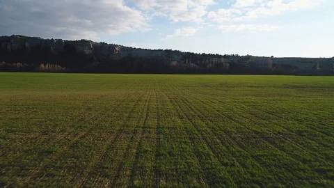 Spring green grass 스톡 동영상 105481422