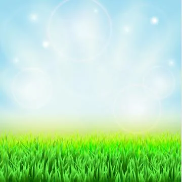 Spring green grass Stock Illustration