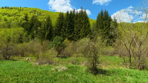 Spring green hills roll beneath a bright blue sky. Near Tupavica Waterfall 库存影片 335530212