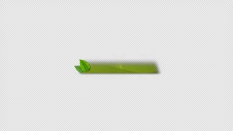 Spring green leaves caption bar blank background animation, alpha channel Stock Footage 247087942
