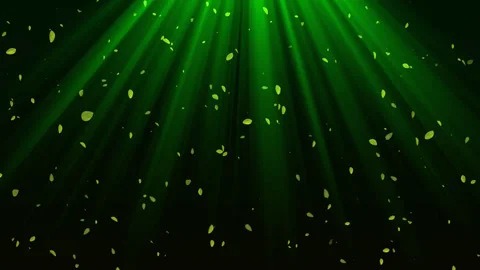 Spring green leaves falling stage background(After Effects production) Stock Footage 307933540