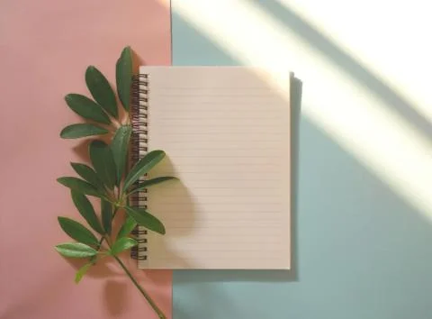 Spring green leaves with notebook. Stock Photos