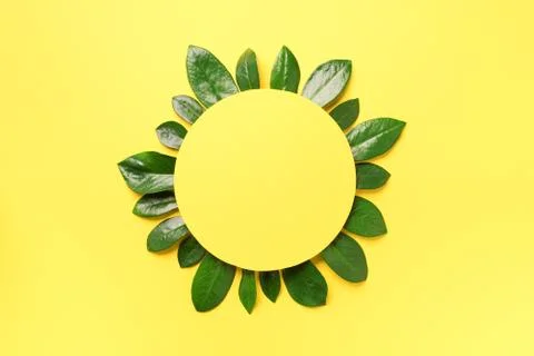 Spring green leaves pattern on yellow background. Creative layout. Top view Foto stock
