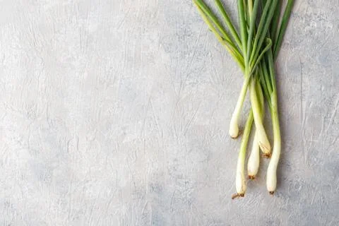 Spring green onions Stock Photos