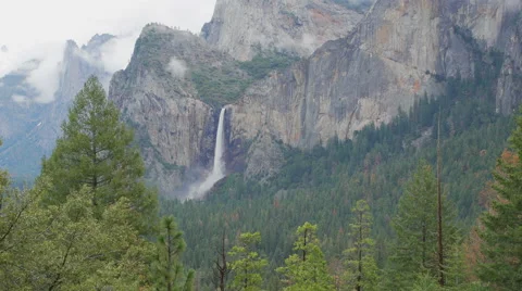 Spring green pine trees neat Yosemite Falls Stock Footage 62630829