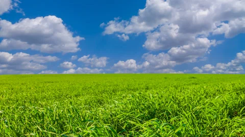 Spring green rural fields Stock Footage 328713011