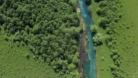 Spring green trees along the shore line of a turquoise river Stock Footage 120698623