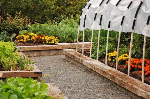 Spring greenhouse Foto stock