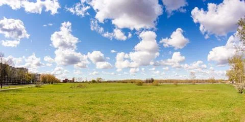 Spring greens under the clouds. Фото