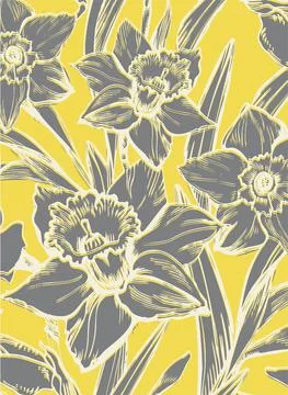 Spring greeting card with closeup gray silhouettes of daffodil flowers on yellow Stock Illustration