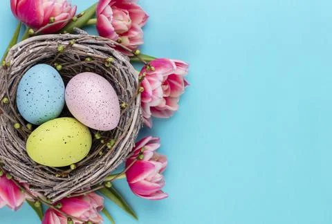 Spring greeting card. Easter eggs in the nest. Spring flowers tulips. Stock Photos
